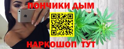гидра Новодвинск