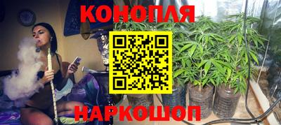 гидра Новодвинск