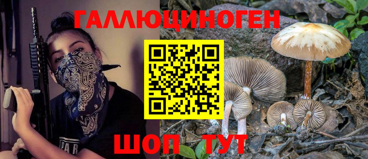 Семилуки  Галлюциногенные грибы мухоморы  Вход с VPN 